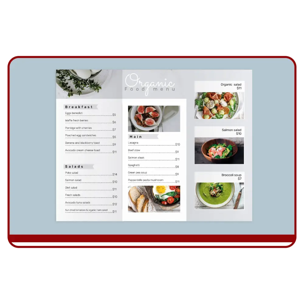 Promotional brochures