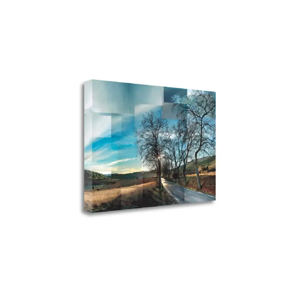 Room Canvas Printing